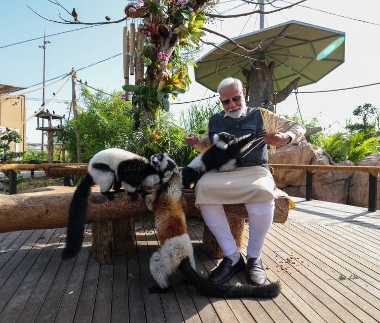 VANTARA FOUNDATION DAY: ONE YEAR AFTER INAUGURATION BY PRIME MINISTER NARENDRA MODI, MANY ANIMALS RESTORED TO HEALTH AND RETURNED TO THE WILD