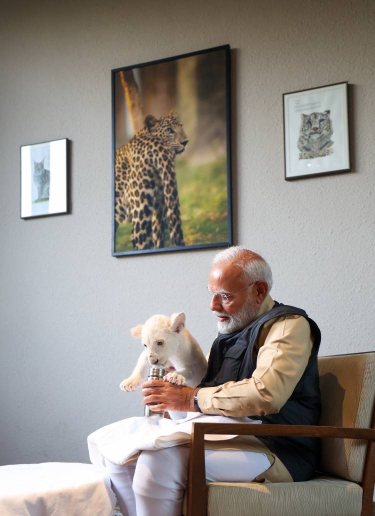 VANTARA FOUNDATION DAY: ONE YEAR AFTER INAUGURATION BY PRIME MINISTER NARENDRA MODI, MANY ANIMALS RESTORED TO HEALTH AND RETURNED TO THE WILD
