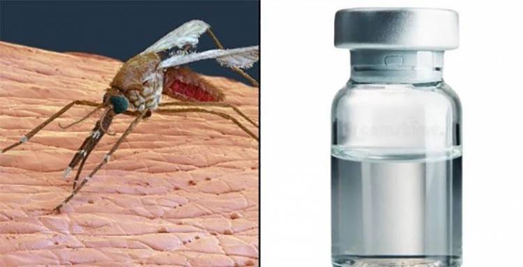 கொசுக்களை பறக்கும் தடுப்பூசிகளாக மாற்றும் புதிய தொழில்நுட்பத்தை கண்டுபிடித்த சீனா!