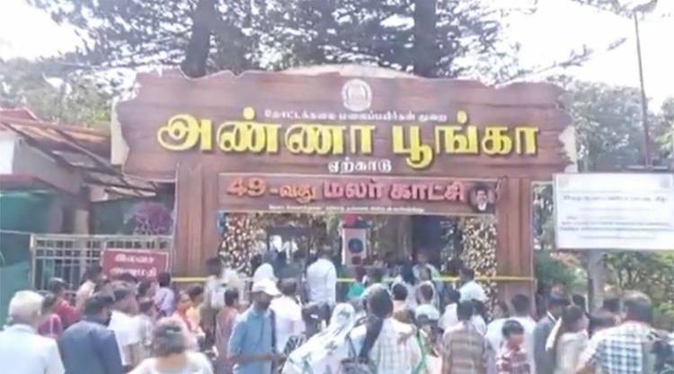 ஏற்காட்டில் 49 வது கோடை விழா மற்றும் மலர்க் கண்காட்சி தொடங்கியது