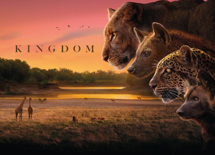 Sony BBC Earth unveils Zambia’s untamed wild in the gripping wildlife drama ‘Kingdom’ premiering 20th July