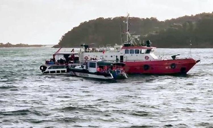 Indian Embassy expedites repatriation of Indians killed in Vietnam boat accident