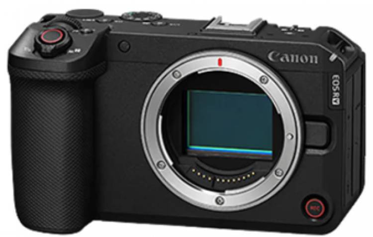 Celebrating Every Perspective Through Every Frame: Marking World Photography Day with Canon